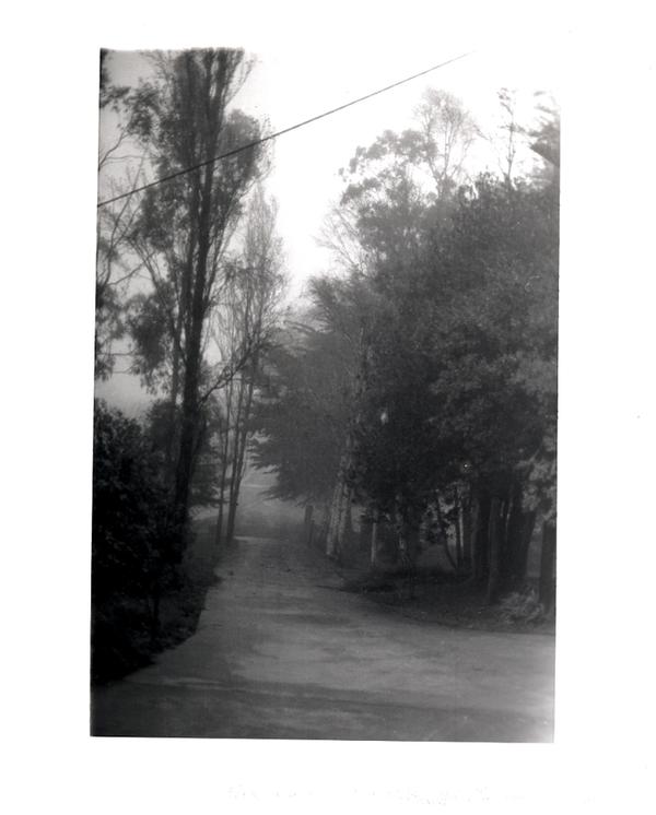 I used to live in beautiful places I 
My old driveway in the hills