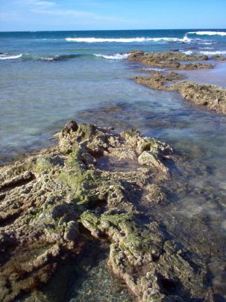 I used to live in beautiful places III Kingscliff Beach - volcanic rock pools.