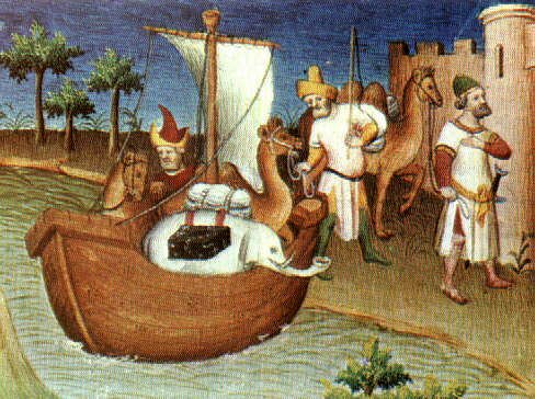 maco polo