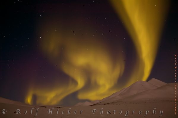 northern lights yukon 21 rolf hicker