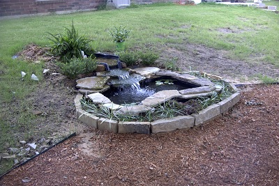 pond