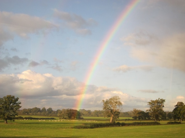 rainbows