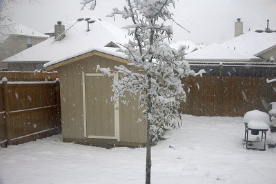 shed