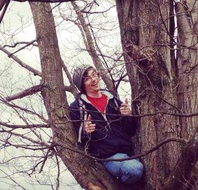 The eldest tree shimmier