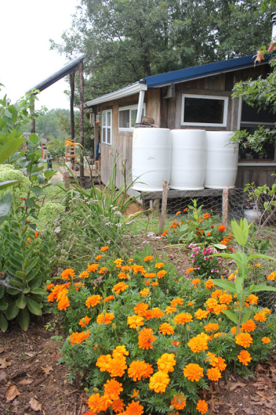 water catchment