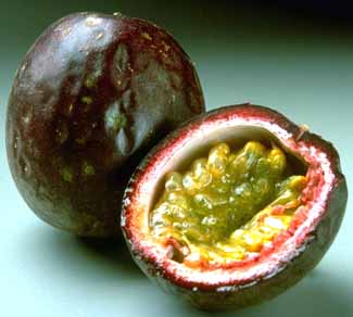 purple-passionfruit.jpg