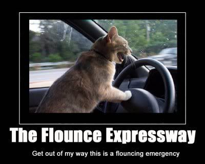 flounceexpressway.jpg