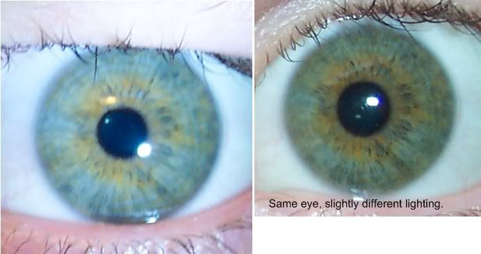 bigeye2.jpg