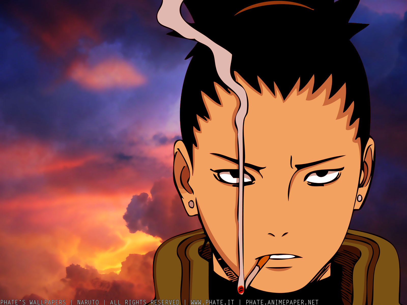 Nara.Shikamaru.full.31393.jpg