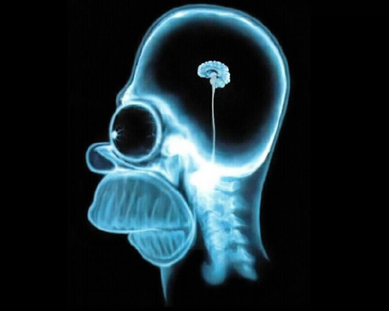 homer-simpson-wallpaper-brain.jpg