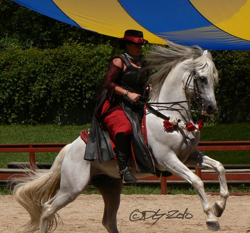 andalusian_stallion___24_by_childofatlas-d2y3tfa.jpg