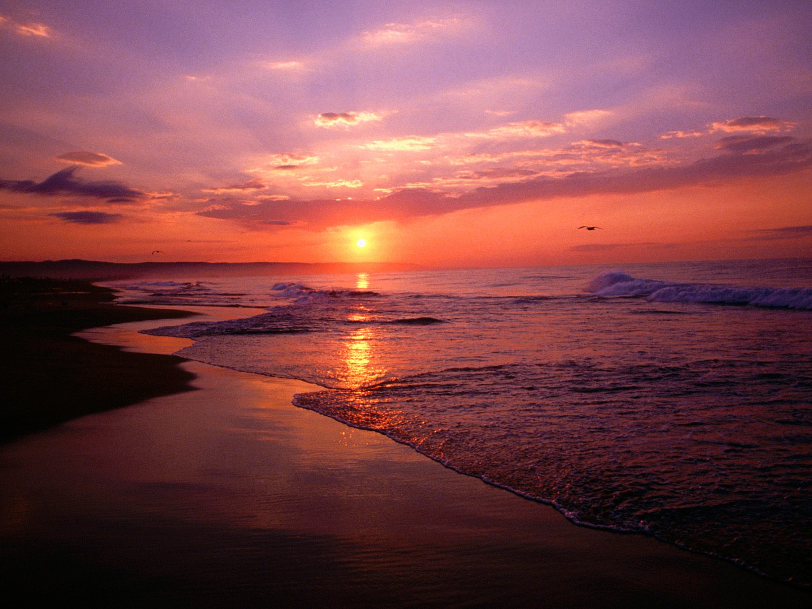 Newport_Beach_Sunrise_California.jpg