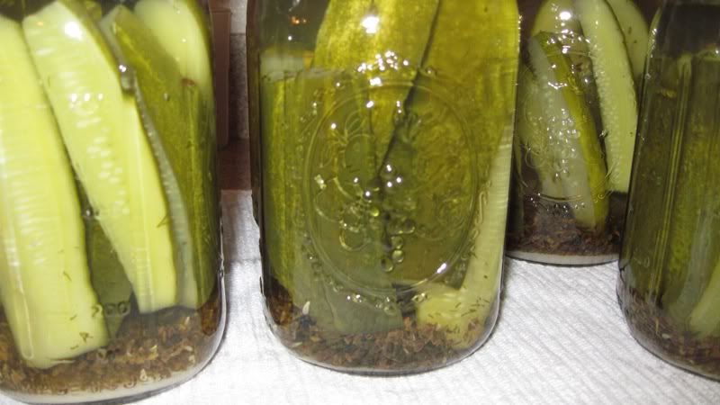 pickles0011.jpg