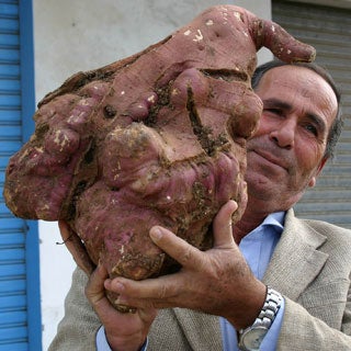 worlds-biggest-potato_1.jpg