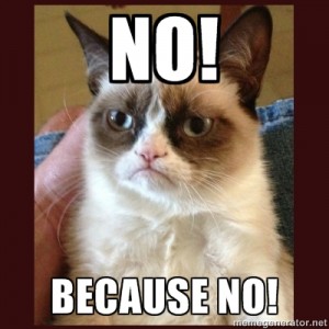 Grumpy-Cat-NO-300x300.jpg