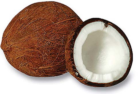 0617-01coconut.jpg