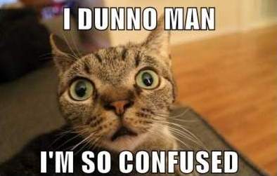 Confused-Cat-Meme-2.jpg