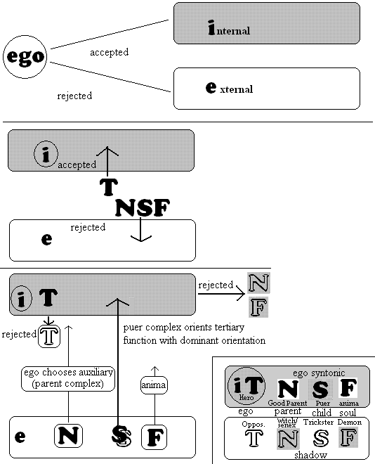 differentiation.gif