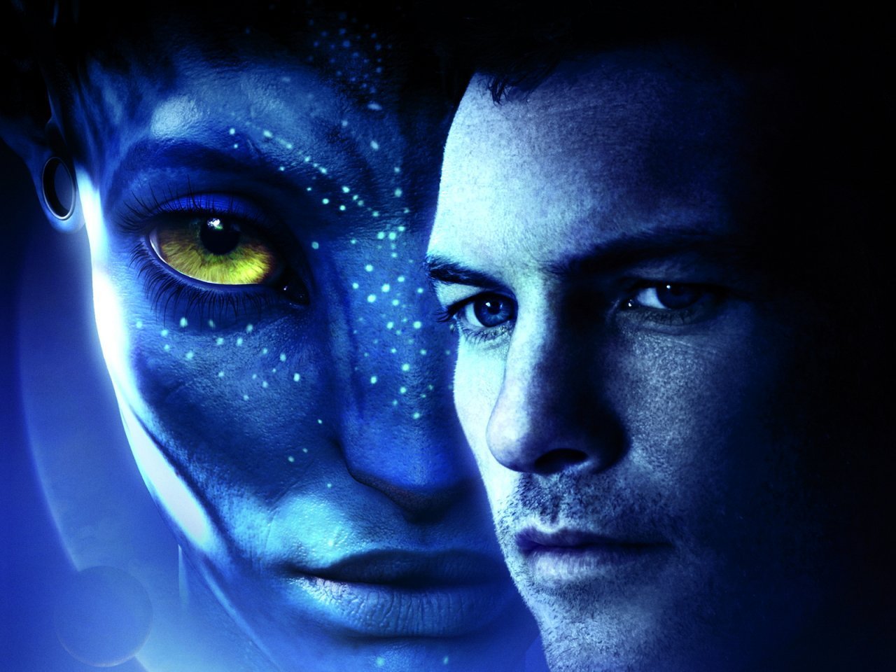 avatar-avatar-2009-film-9474551-1280-960.jpg