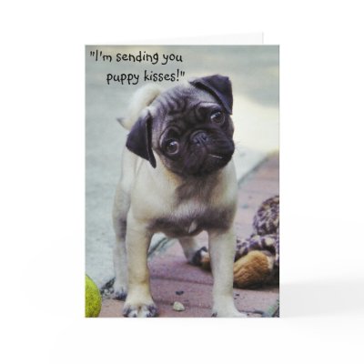 sweet_puppy_get_well_greeting_card-p137619730461982316tdtq_400.jpg