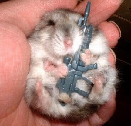 hamster_with_gun.jpg