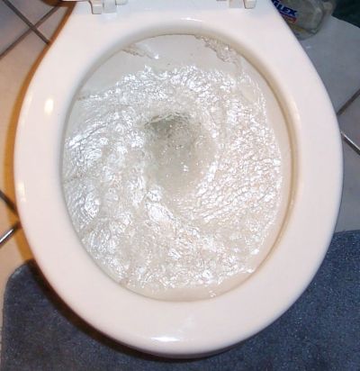 ProperlyFlushingToiletSte.jpg