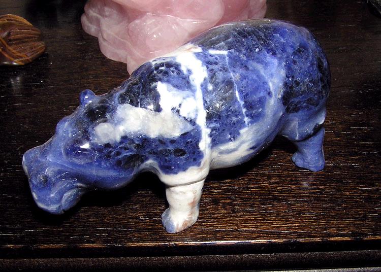 Sodalite.hippo.arp.750pix.jpg