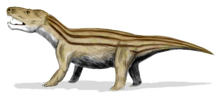 Cynognathus_BW.jpg