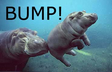 uh44337_1227729183_hippo_bump.jpg