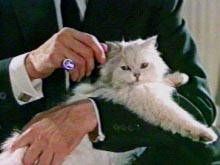 blofeld-cat.jpg