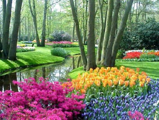 keukenhof.jpg