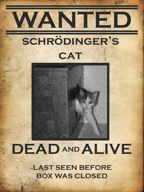 schroedingers_katze.jpeg