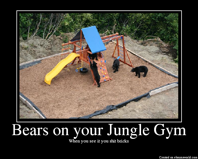 BearsonyourJungleGym.png