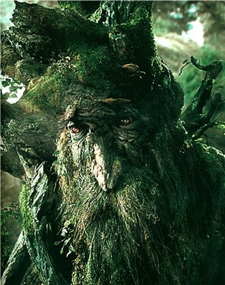 treebeard.jpg