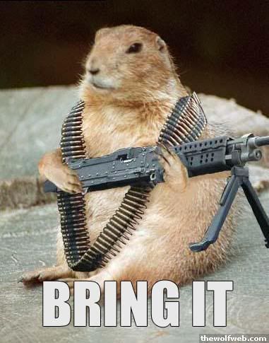 MachineGunPrairieDog.jpg