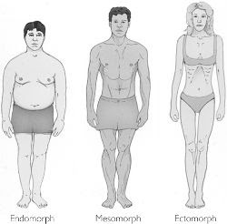 body_type21.jpg