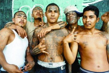 ms13-gang.jpg