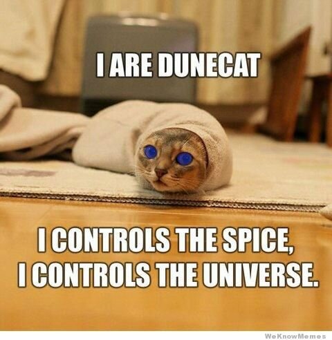 i-are-dunecat.jpg