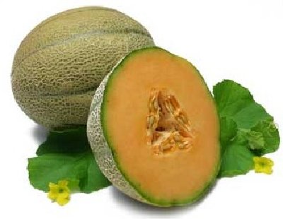 cantaloupe.jpg