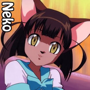 neko.jpg