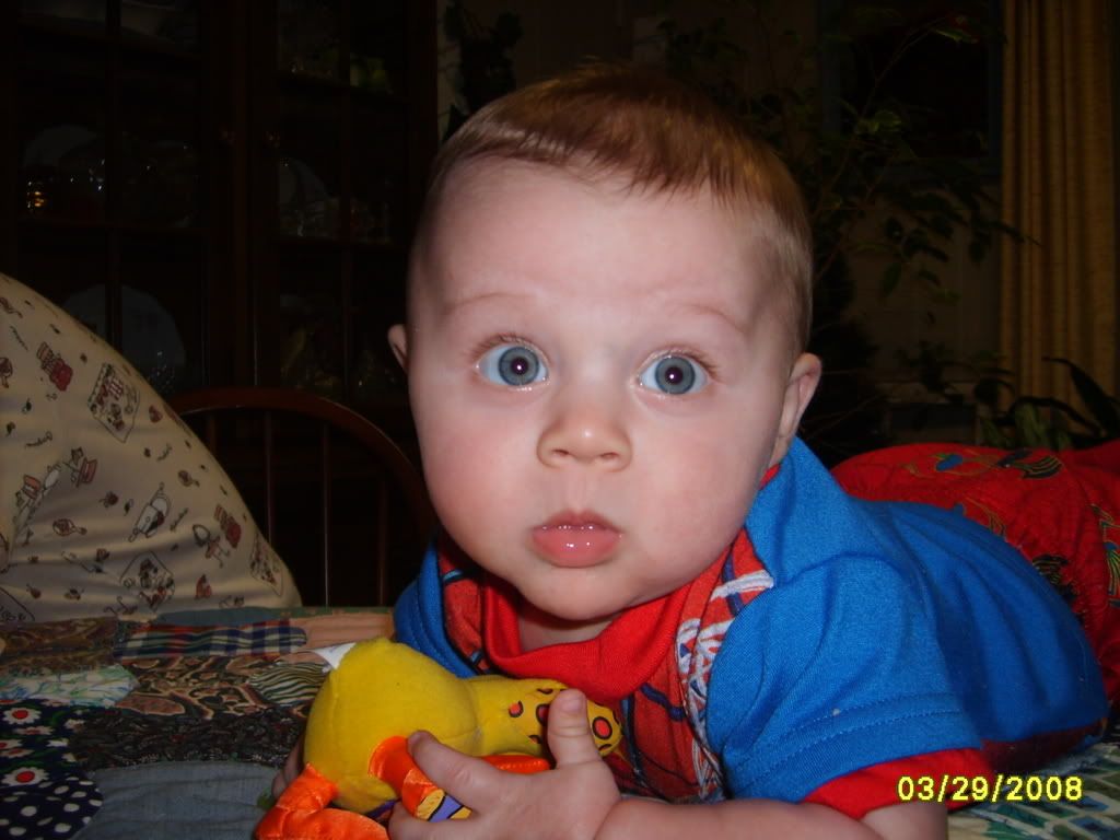 Picture012.jpg