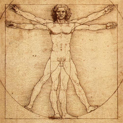 vitruvian-man-leonardo-da-vinci.jpg