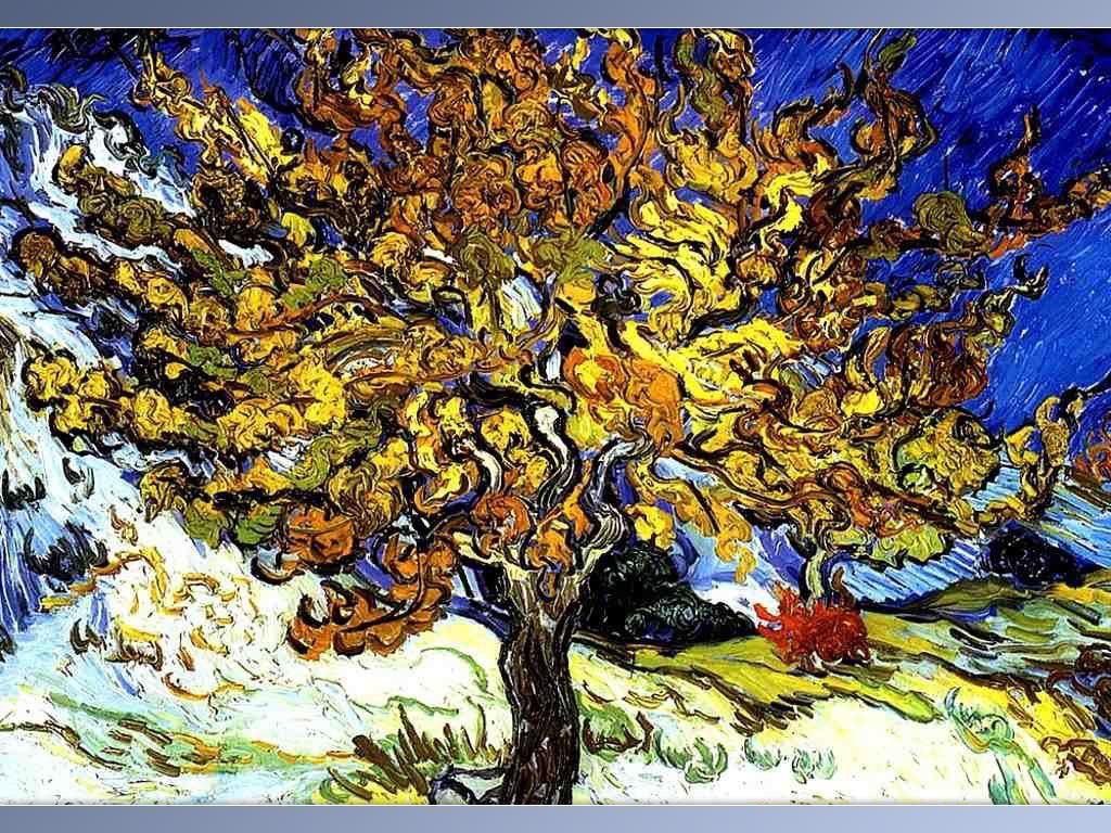 Van-Gogh-0011.jpg