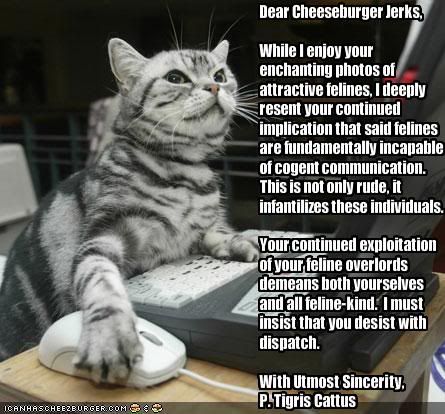 -letter-from-a-very-intelligent-cat.jpg