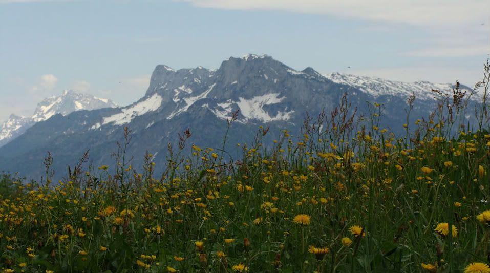 salzmountains1.jpg