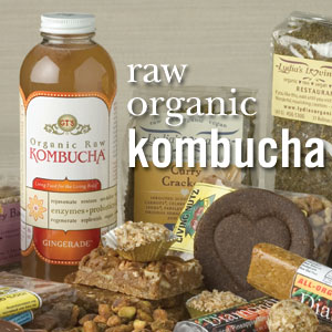 kombucha+(1).jpg