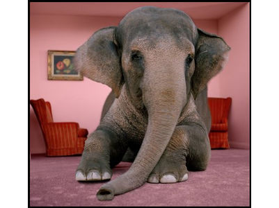 elephant-room11.jpg