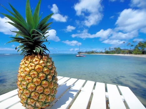 pineapple+(1).jpg