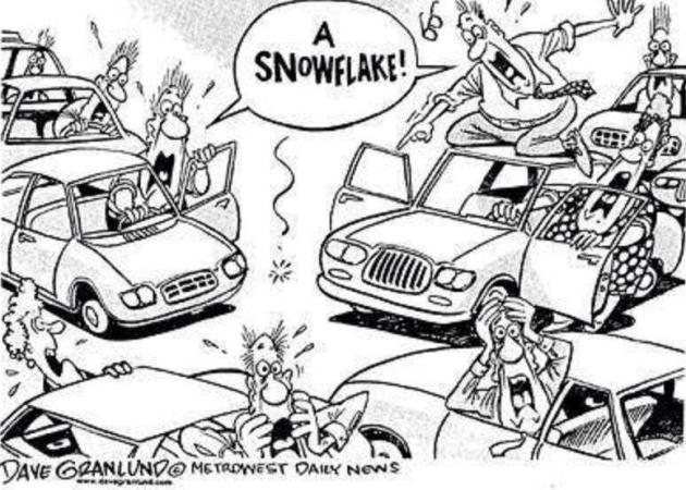 snowflakeCartoon.jpg