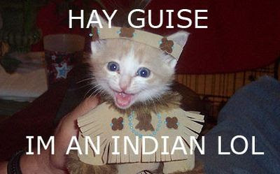 indian-cats.jpg